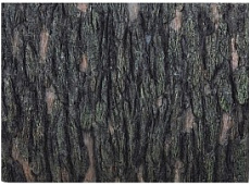 Boyu BG-9013 Кора вертикальная