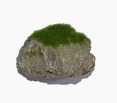 Marlin Aquarium Аквадизайн Парящие скалы, 8,5х5х5 см