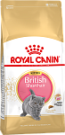 Royal Canin British Shorthair Kitten