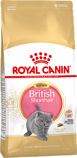 Royal Canin British Shorthair Kitten