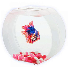 AA-Aquariums Аквариум Betta О для девочек, 1,4 л