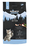 Chicopee HNL Kitten