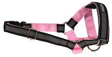 Недоуздок AmiPlay Shine N2 Foxterrier (Розовый)