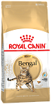 Royal Canin Bengal Adult