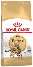 Royal Canin Bengal Adult