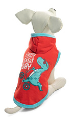 Triol Футболка с капюшоном Динозаврик