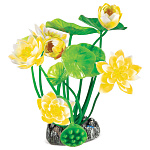 Laguna Растение Нимфея желтая