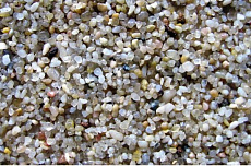 Zoologia Гравий натуральный №2 2-4 мм