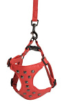 CAMON Шлея с заклепками и поводком красная