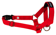 Недоуздок AmiPlay Basic N3 Cocker Spaniel (Красный)