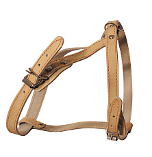 Гамма Шлейка кожаная