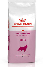 Royal Canin Queen 34