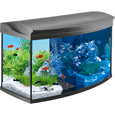 Tetra Аквариум "AquaArt LED Evolution Line", 100 л