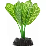 Barbus Шелковое растение Дифинбахия тигровая в блистере