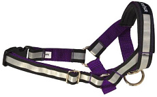 Недоуздок AmiPlay Shine N3 Cocker Spaniel (Фиолетовый)