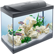 Tetra Аквариум "Starter Line", 80 л