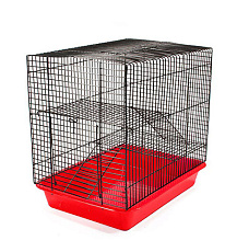 Клетка "ЕСО" (Хома №1), 2 этажа