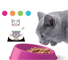 Георпласт Миска наклонная Vibrissa