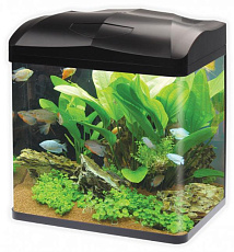 Haqos Аквариум изогнутый, 30 л