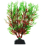 Barbus Пластиковое растение Перестолистник красный