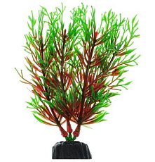 Barbus Пластиковое растение Перестолистник красный