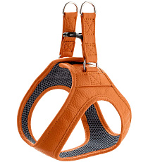 Hunter Шлейка для собак Hilo, оранжевая