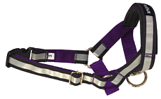 Недоуздок AmiPlay Shine N2 Foxterrier (Фиолетовый)