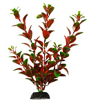 Barbus Пластиковое растение Людвигия красная