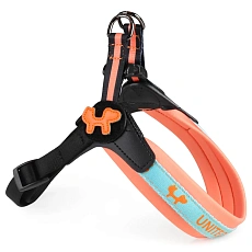 United Pets Шлейка Complete me, оранжевая с голубым