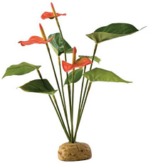 Hagen Антуриум, 29 x 6.5 x 5 cм