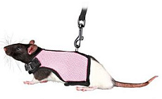 Набор "Trixie" (шлея и поводок), для крыс