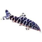 Боция мраморная