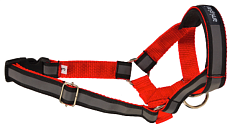 Недоуздок AmiPlay Shine N2 Foxterrier (Красный)