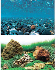 Barbus Фон аквариумный Горная река / Зеленое море