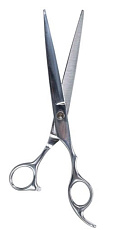 TRIXIE Профессиональные ножницы, 20 см
