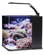 Haqos Аквариум Cube Box 20