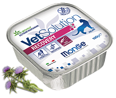 Monge Консервы VetSolution Recovery Cat (Курица, лосось)