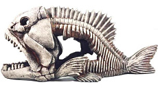 Deksi Грот Скелет рыбы №904