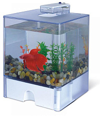 AA-Aquariums Аквариум 1515 Aqua Box Betta, 3 л