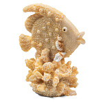 Laguna Грот Рыба-ангел