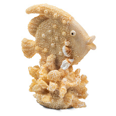 Laguna Грот Рыба-ангел