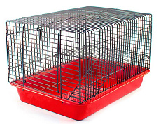 Клетка "ЕСО" (Хома №1),  1 этаж