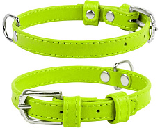 Collar Ошейник "Waudog" (Glamour), салатовый