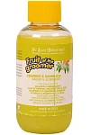 Iv San Bernard Шампунь Fruit of the Groomer Ginger&Elderbery