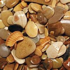 Barbus Галька каспий 2-20 мм