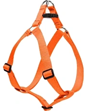 CAMON Шлея нейлоновая, оранжевая