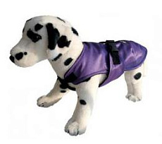 Ami Play Попона для собак (Фиолетовая)