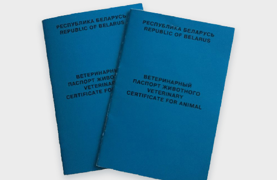 Паспорт для собаки