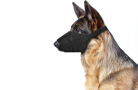 Нейлоновый намордник