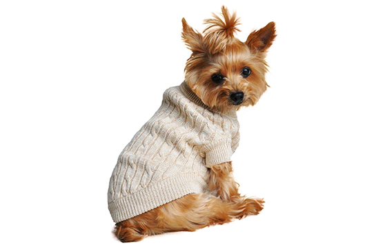 Свитер для собак